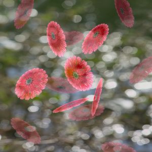 023_1244-2035_abstract-2_web