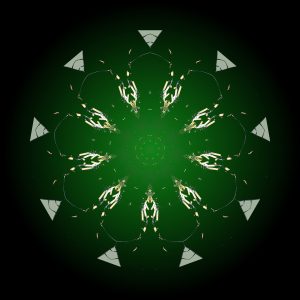 0326-spider-mirrored-mandala-web