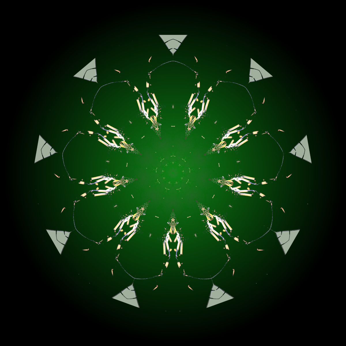 0326-spider-mirrored-mandala-web