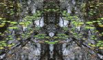 Swamp Leaves Faces